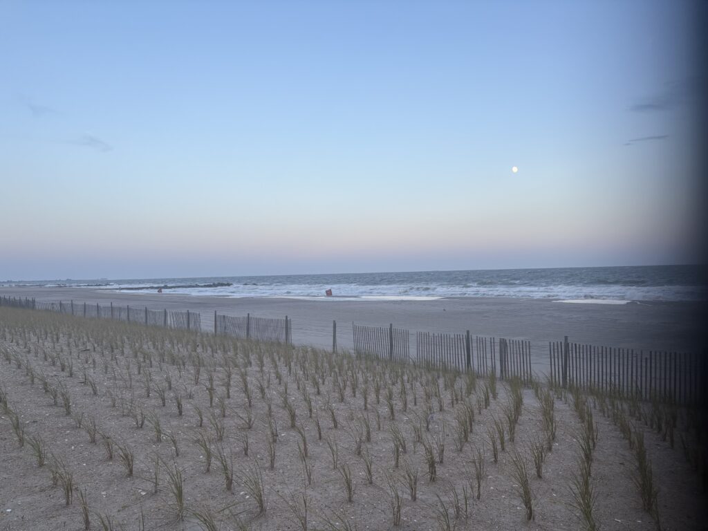 a beach with a fence and water (MyCoast AI)