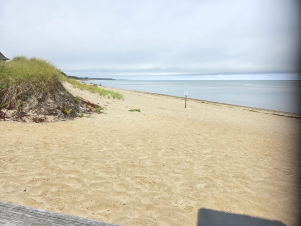 a sandy beach with a fence (MyCoast AI)