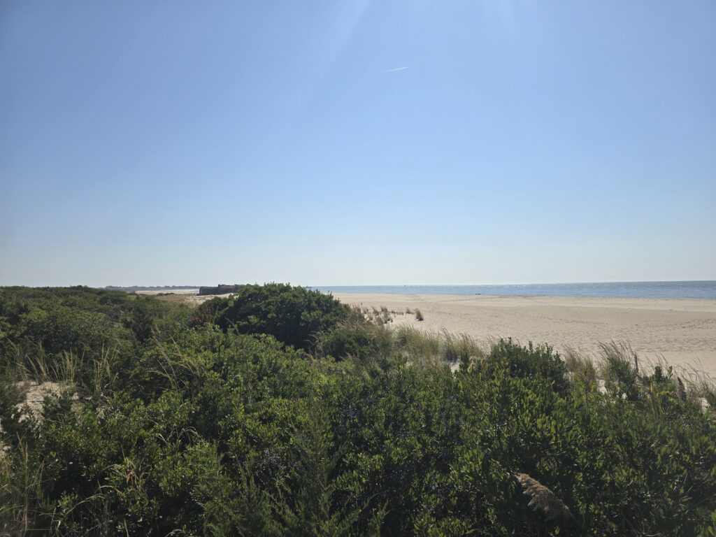 a landscape with trees and a body of water in the background (MyCoast AI)