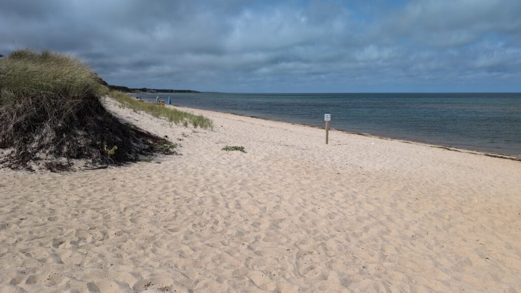 a sandy beach with a body of water in the background (MyCoast AI)