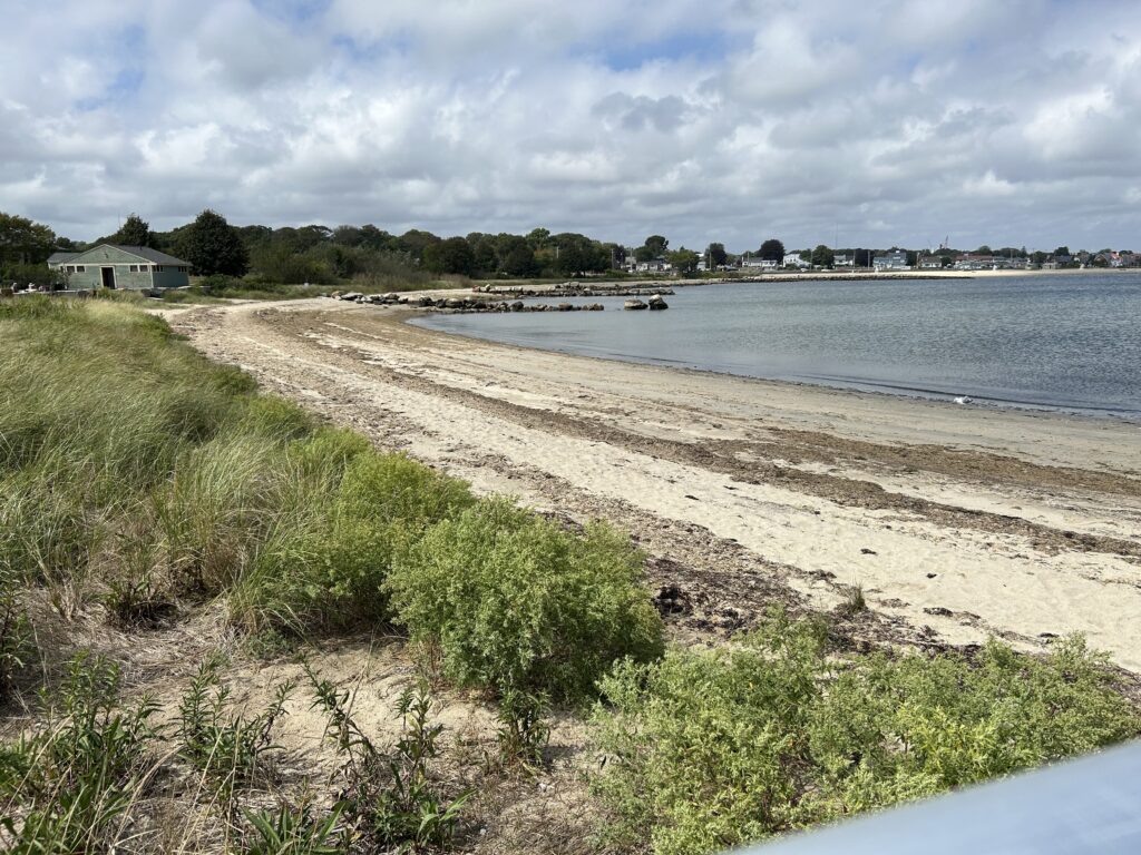 a beach with grass and sand (MyCoast AI)