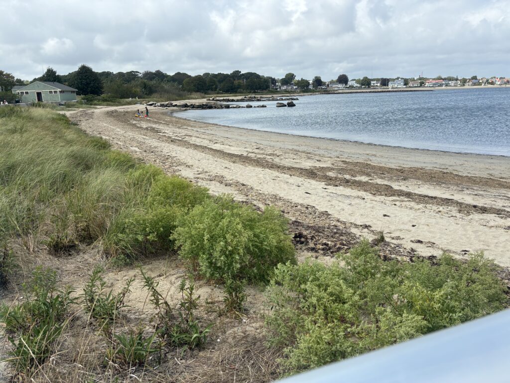 a beach with a boat in the water (MyCoast AI)