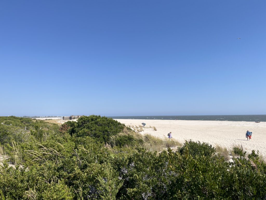 a beach with trees and bushes (MyCoast AI)
