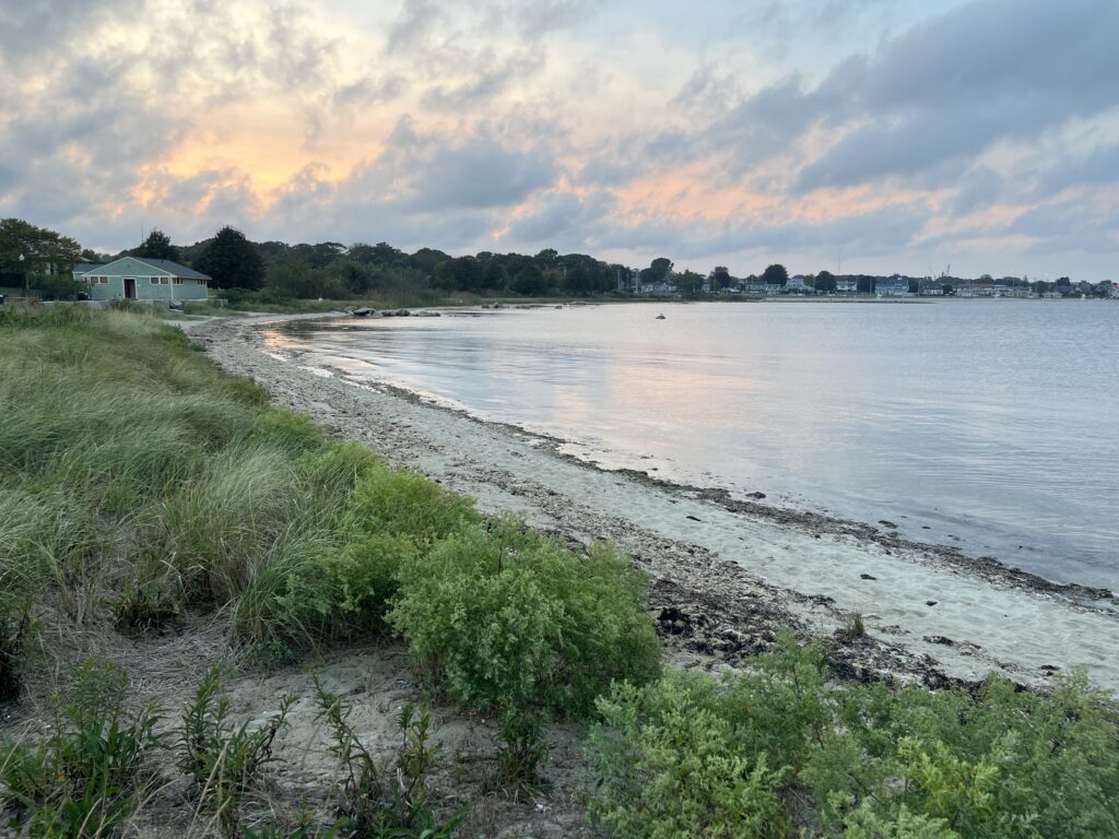 a beach with grass and water (MyCoast AI)