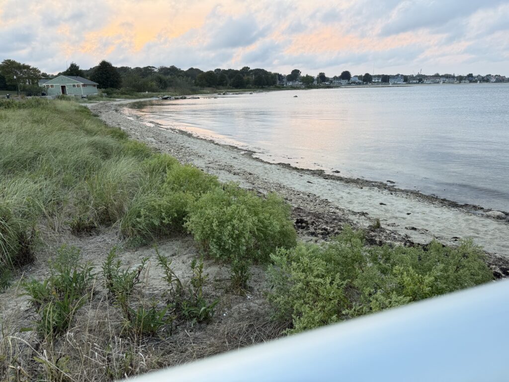 a beach with grass and water (MyCoast AI)
