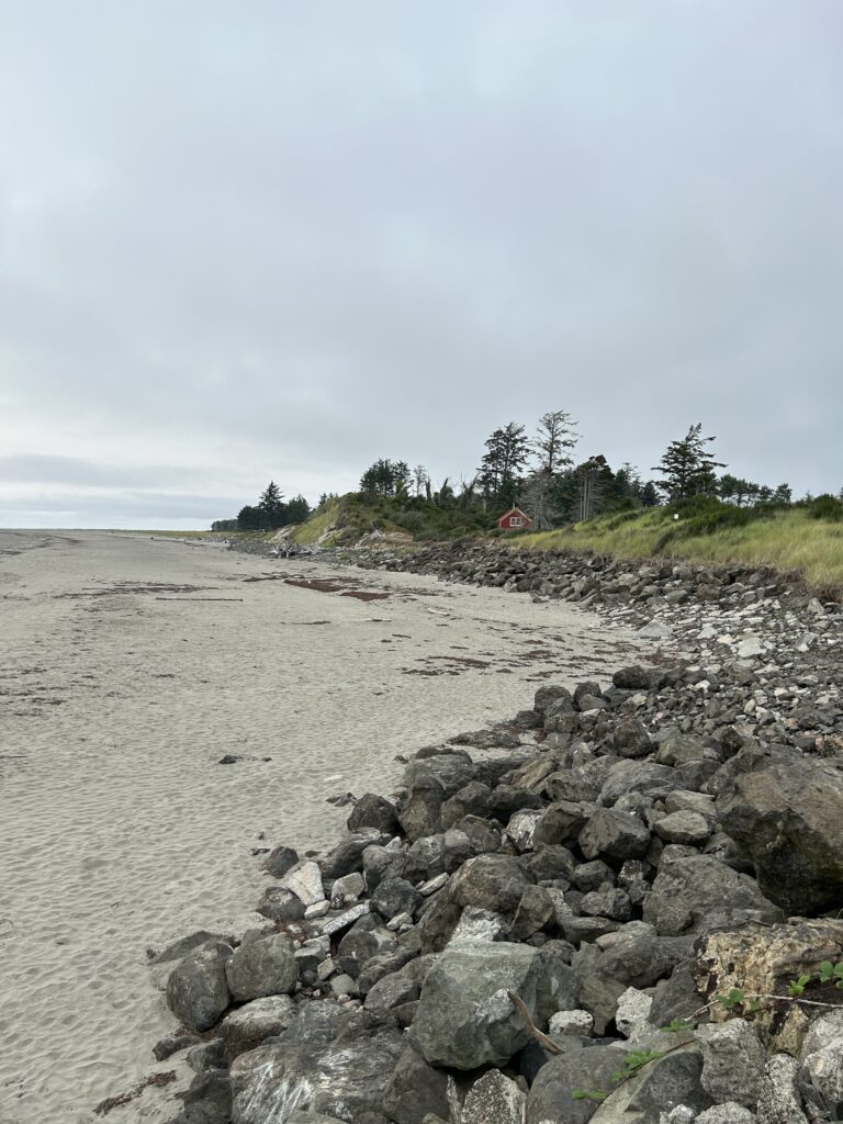 a rocky beach with trees in the background (MyCoast AI)