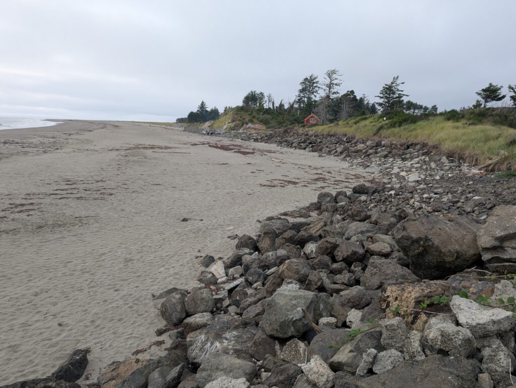 a rocky beach with trees in the background (MyCoast AI)