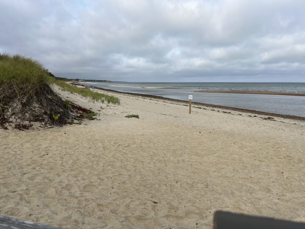 a sandy beach with a fence (MyCoast AI)