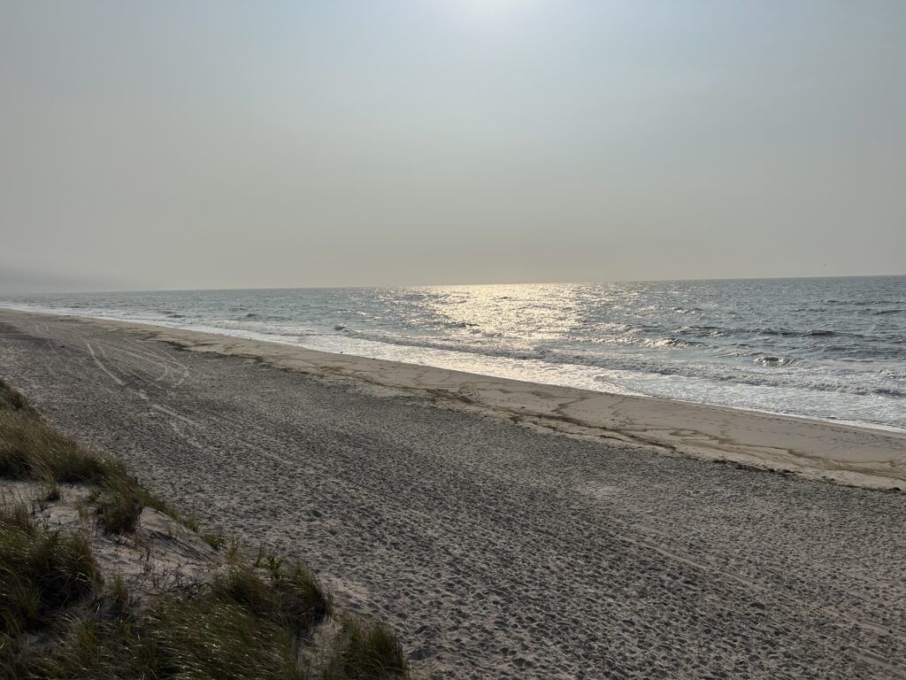 a beach with waves crashing on it (MyCoast AI)