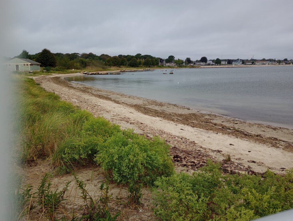 a beach with a body of water (MyCoast AI)