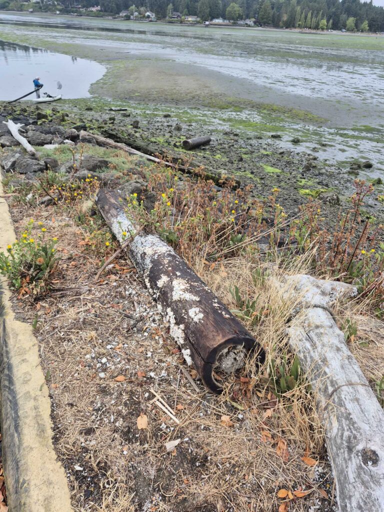 a pipe in a field (MyCoast AI)