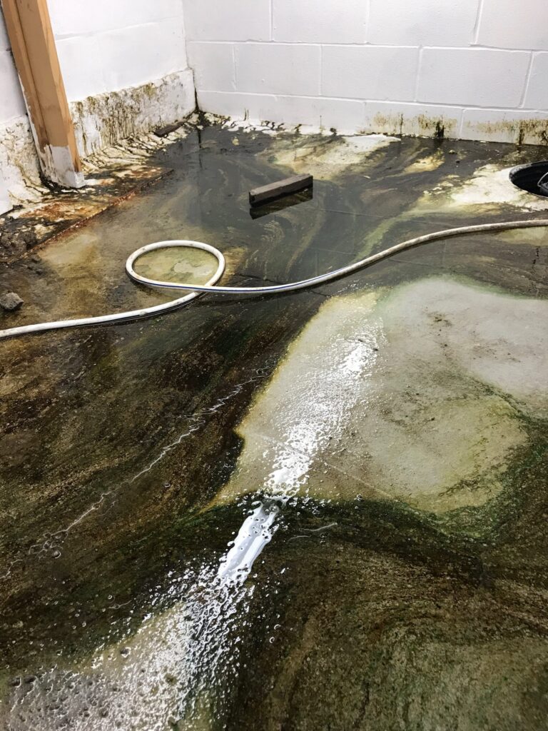 a dirty pool of water (MyCoast AI)