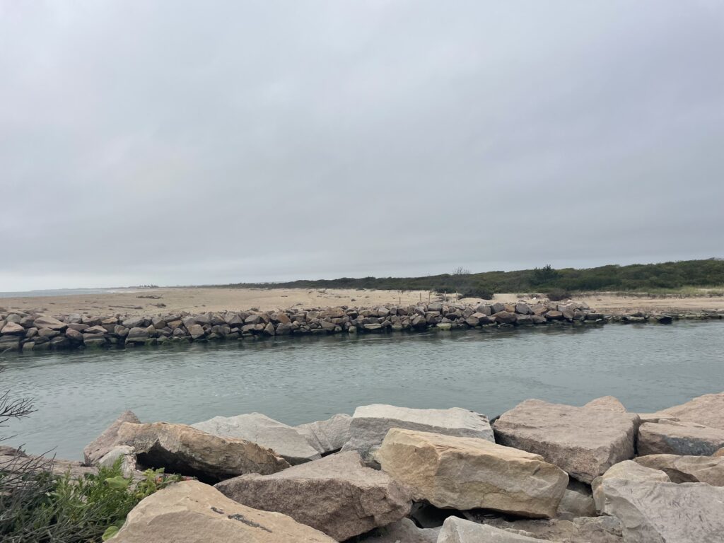 a body of water with rocks on the side (MyCoast AI)