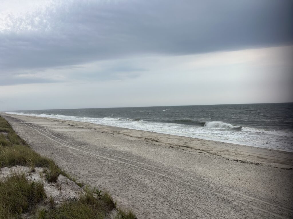a beach with waves crashing on it (MyCoast AI)