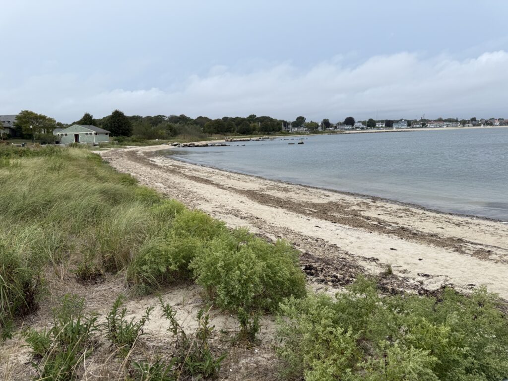 a beach with grass and sand (MyCoast AI)