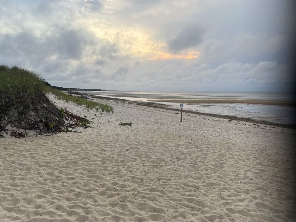 a sandy beach with a fence (MyCoast AI)