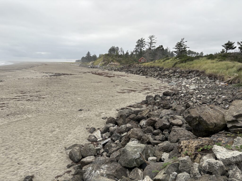 a rocky beach with trees in the background (MyCoast AI)