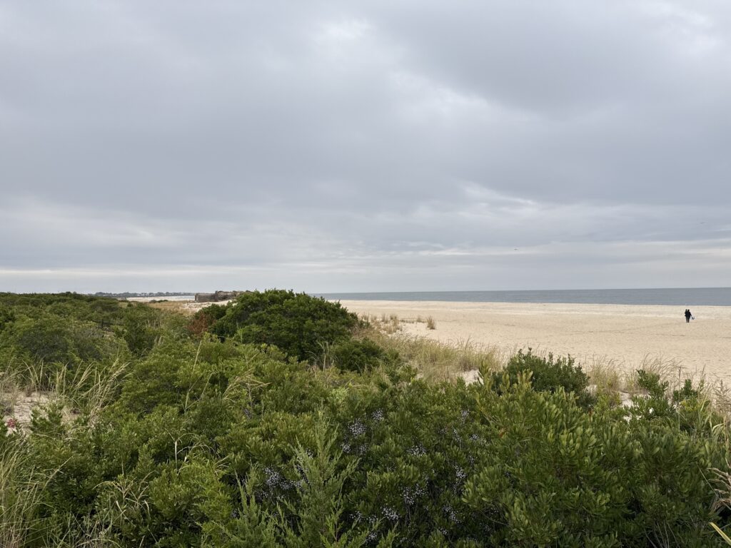 a person walking on a beach (MyCoast AI)