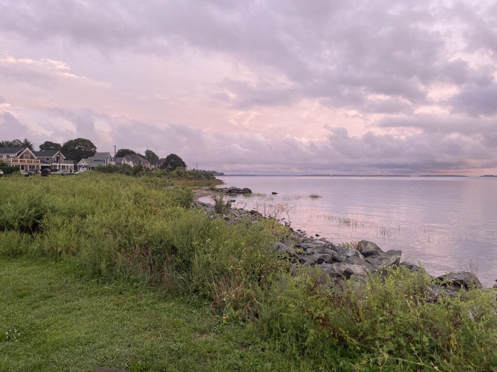 a body of water with houses along it (MyCoast AI)