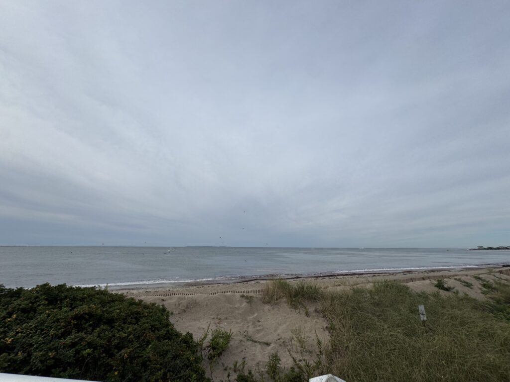a beach with grass and bushes (MyCoast AI)