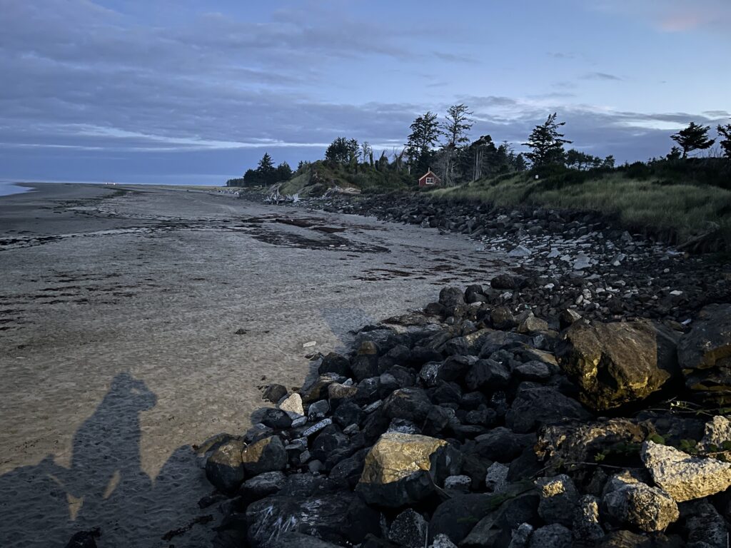 a rocky beach with trees and a hill in the background (MyCoast AI)