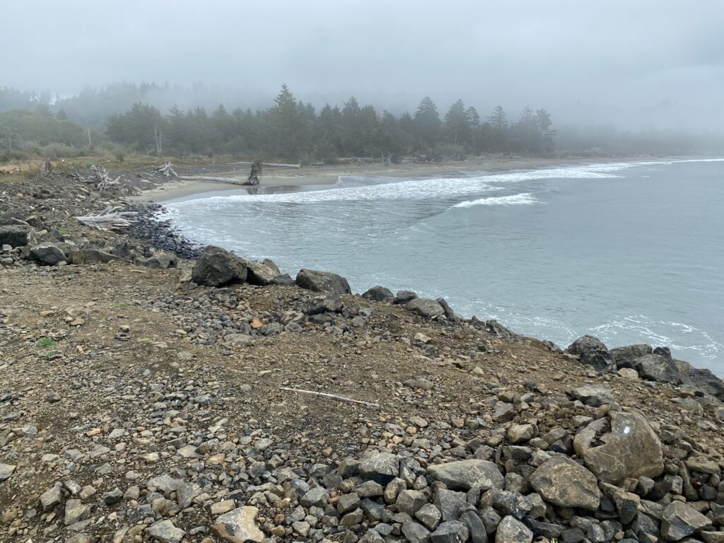 a rocky beach with trees in the background (MyCoast AI)