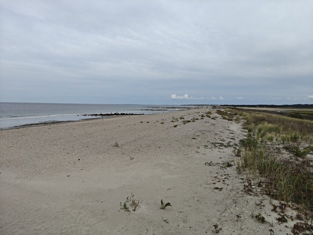 a sandy beach with grass and water (MyCoast AI)