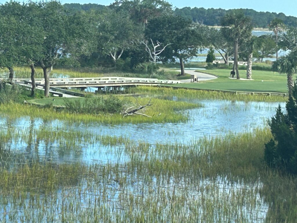a pond with trees and grass (MyCoast AI)