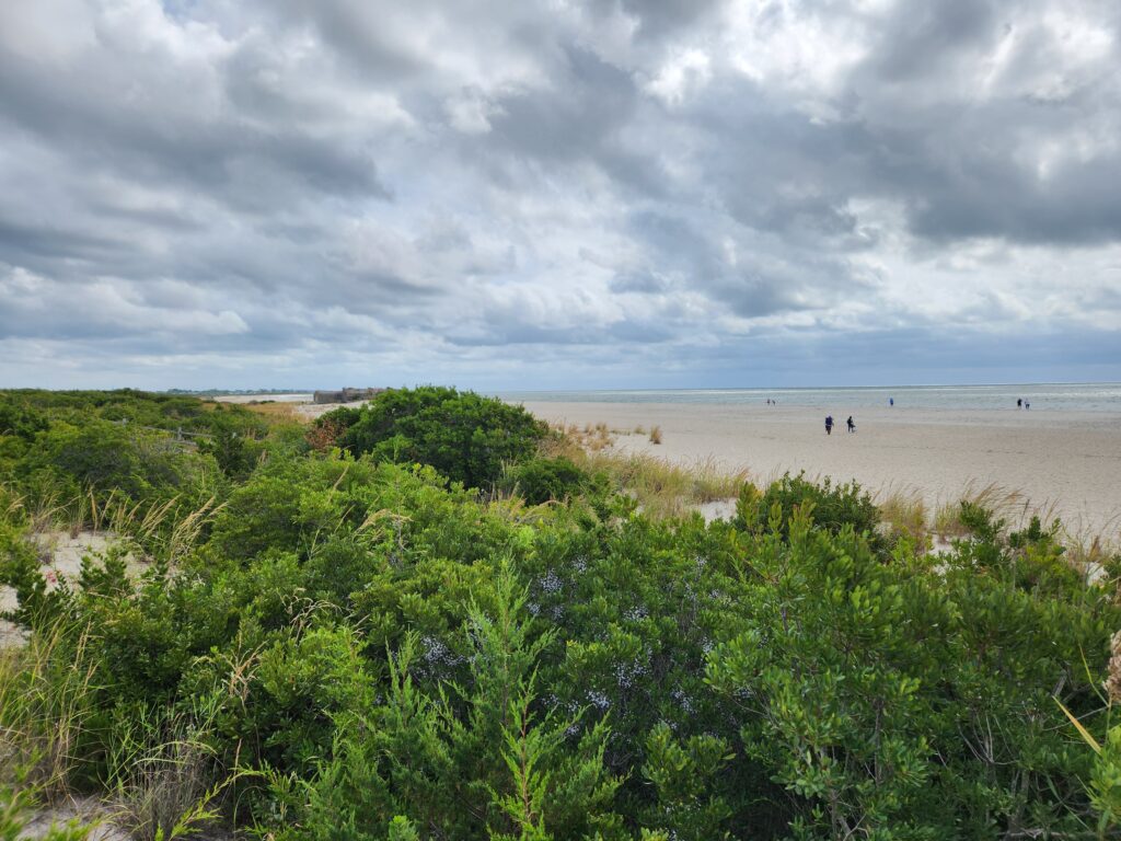 a beach with trees and bushes (MyCoast AI)