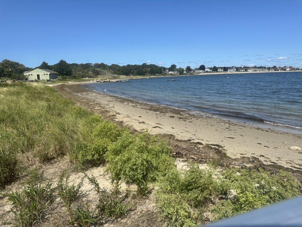 a sandy beach with grass and trees (MyCoast AI)