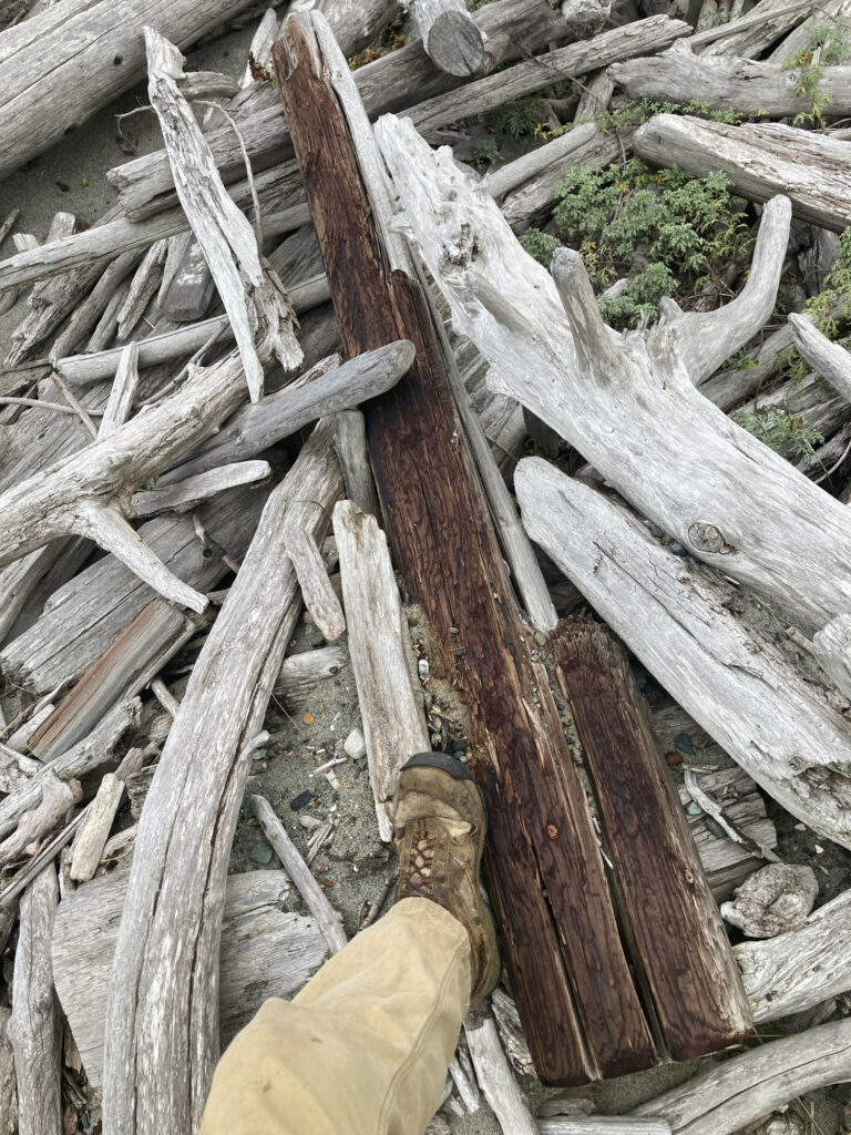 a person lying on a pile of wood (MyCoast AI)