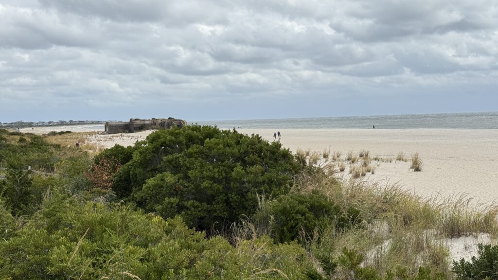 a beach with bushes and trees (MyCoast AI)
