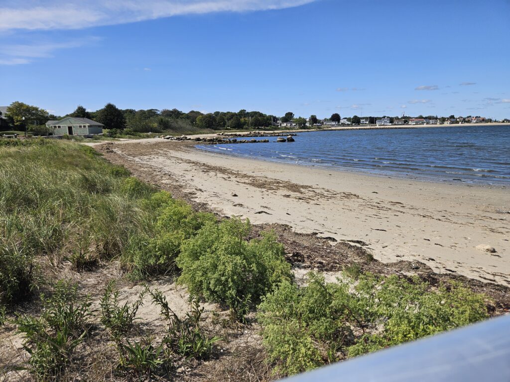 a sandy beach with a pier (MyCoast AI)