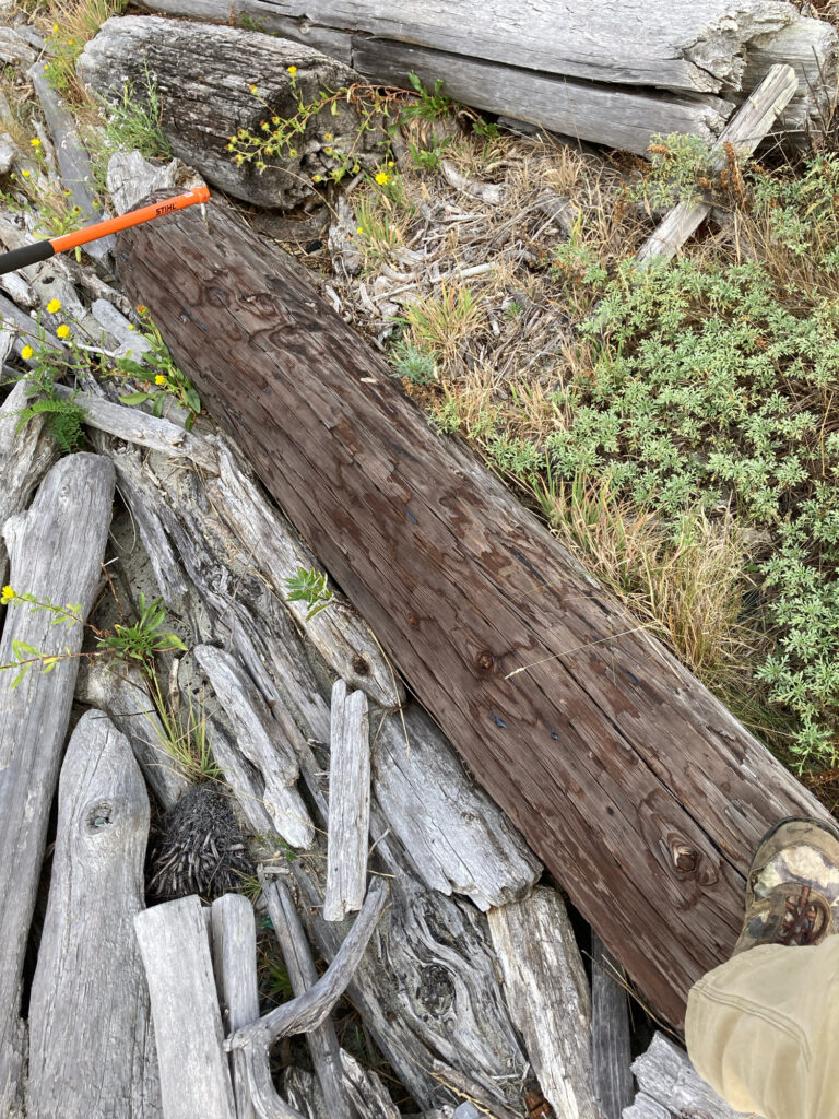a wood fence with a hole in it (MyCoast AI)