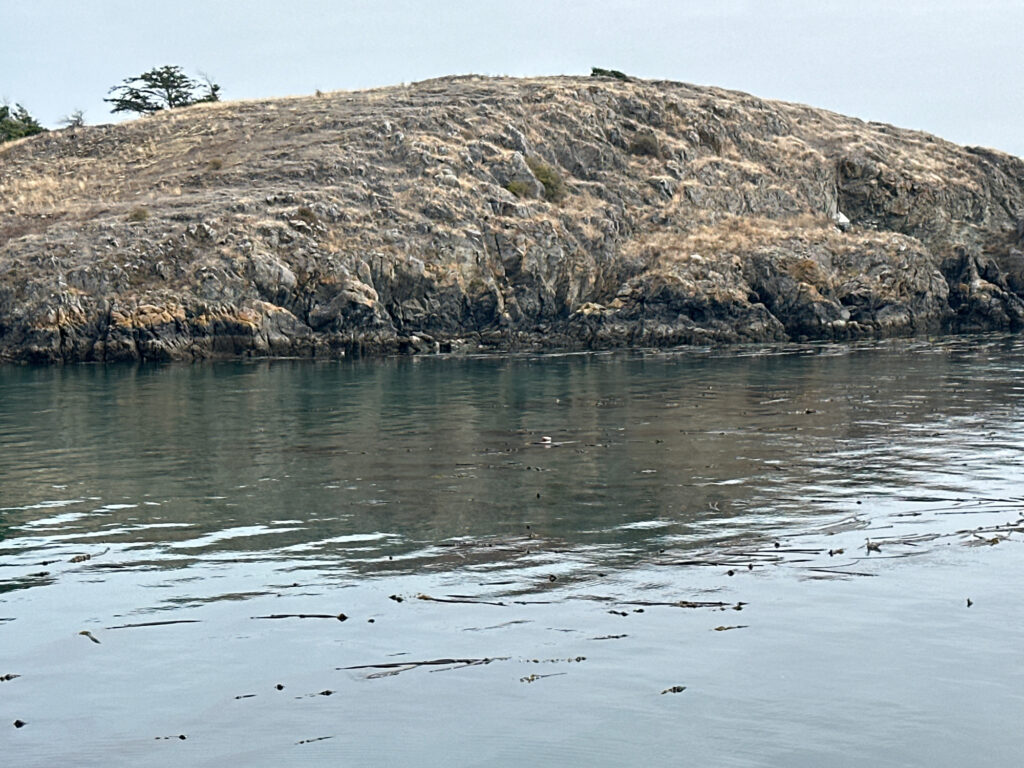 a rocky hill next to a body of water (MyCoast AI)