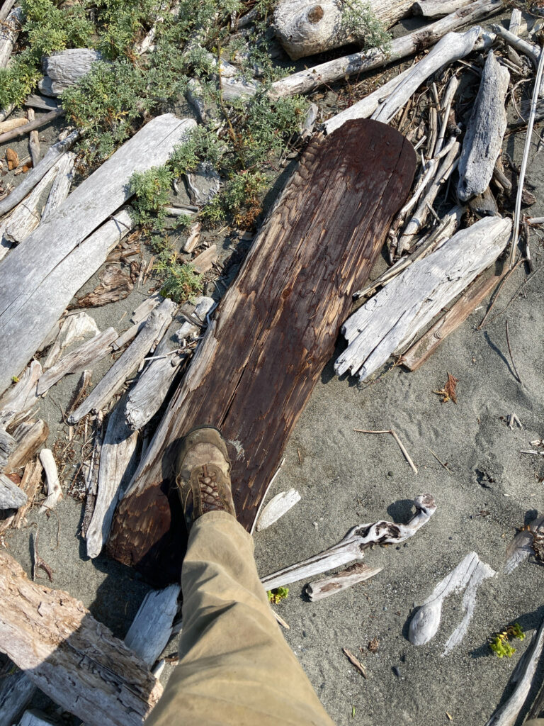 a person's feet on a log (MyCoast AI)