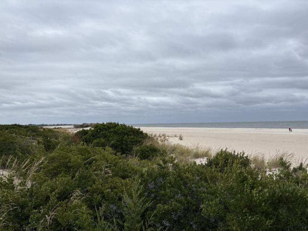 a beach with bushes and trees (MyCoast AI)