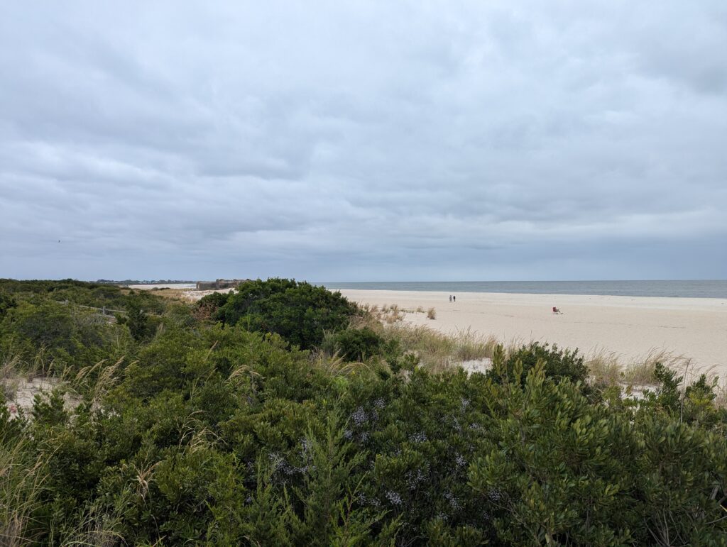 a beach with trees and bushes (MyCoast AI)