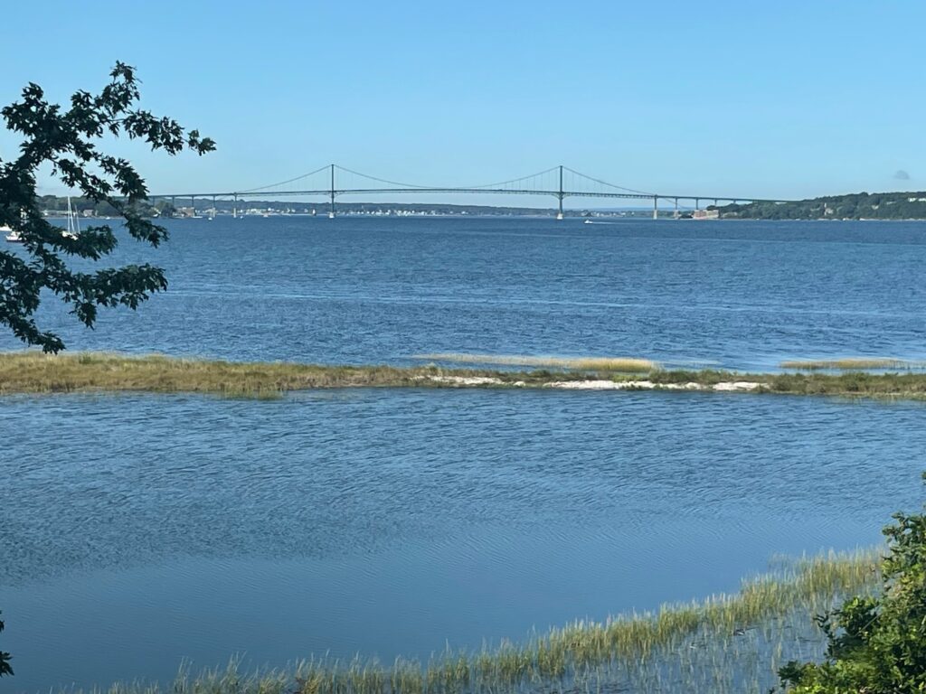 a body of water with a bridge in the background (MyCoast AI)