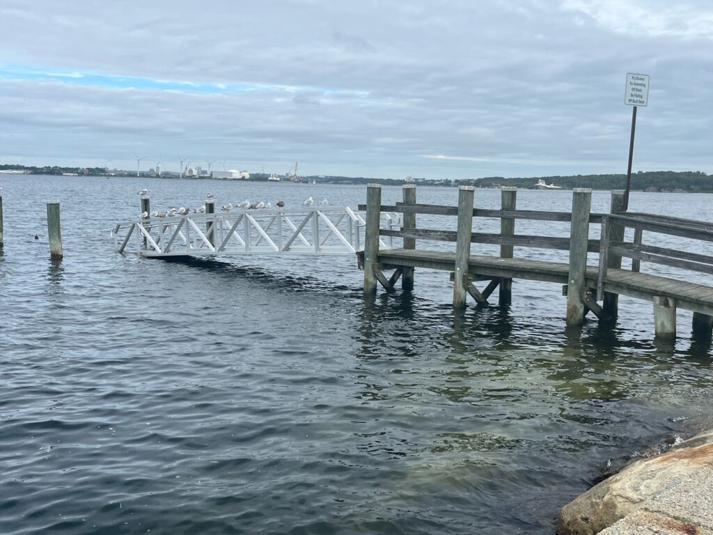 a wooden dock over water (MyCoast AI)