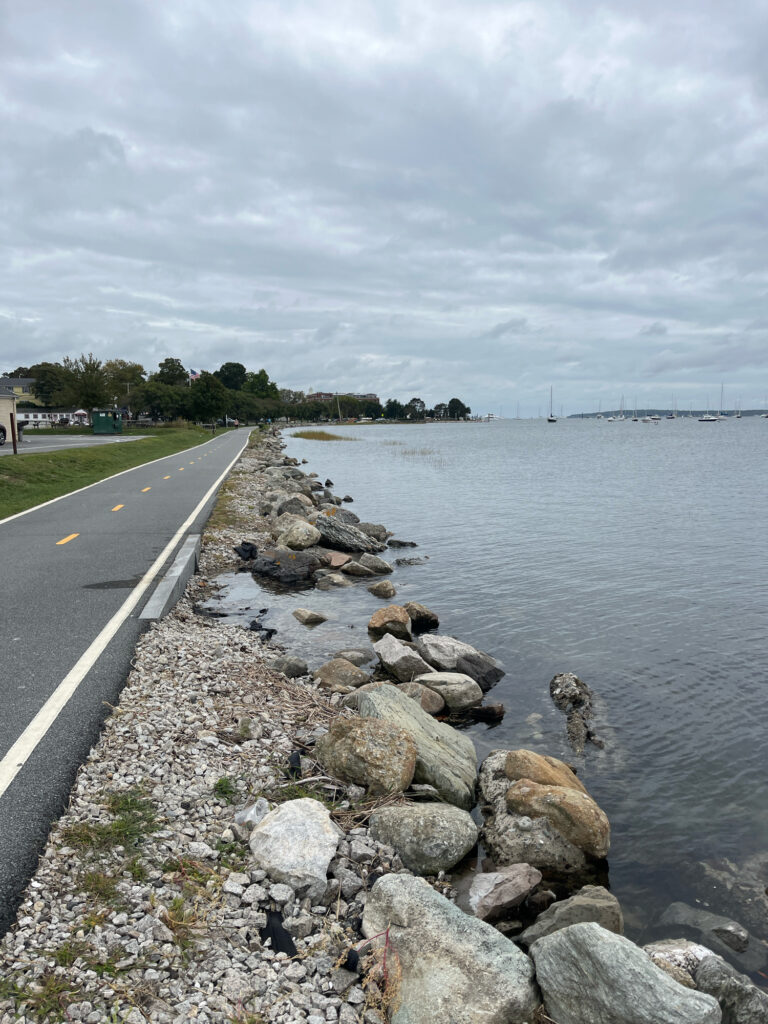 a road next to a body of water (MyCoast AI)