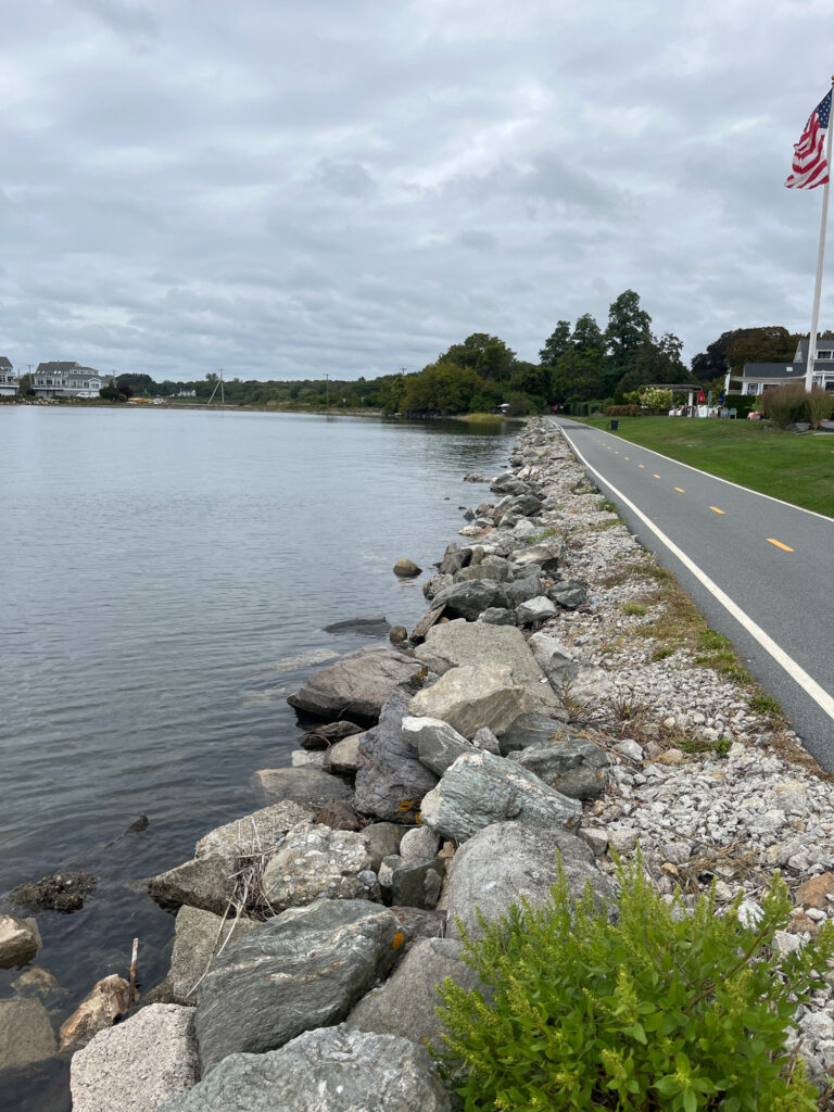 a road next to a body of water (MyCoast AI)