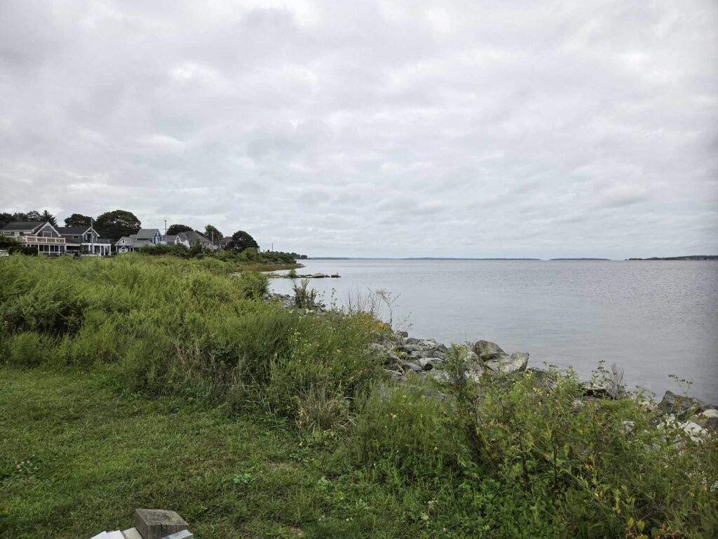 a grassy area next to a body of water (MyCoast AI)