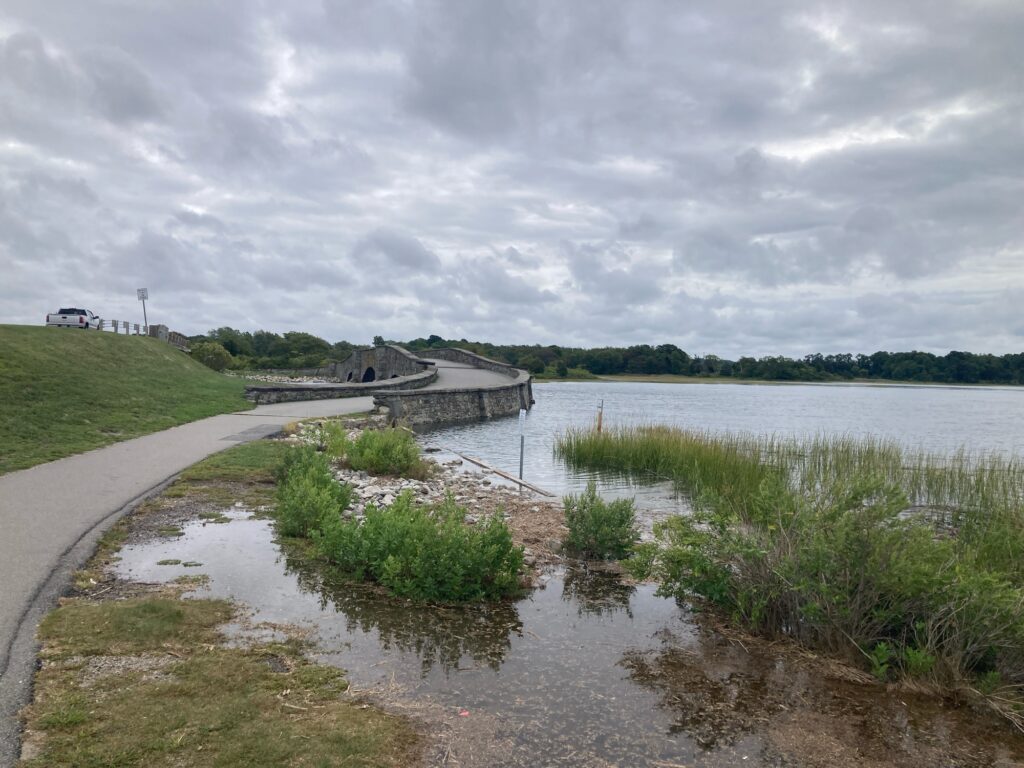 a body of water with a bridge and grass and a road (MyCoast AI)