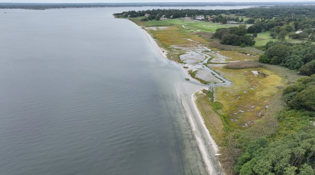 a beach with grass and trees (MyCoast AI)