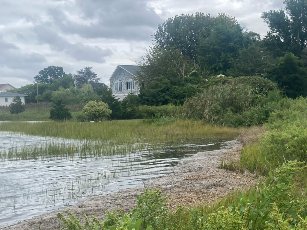 a small house by a river (MyCoast AI)