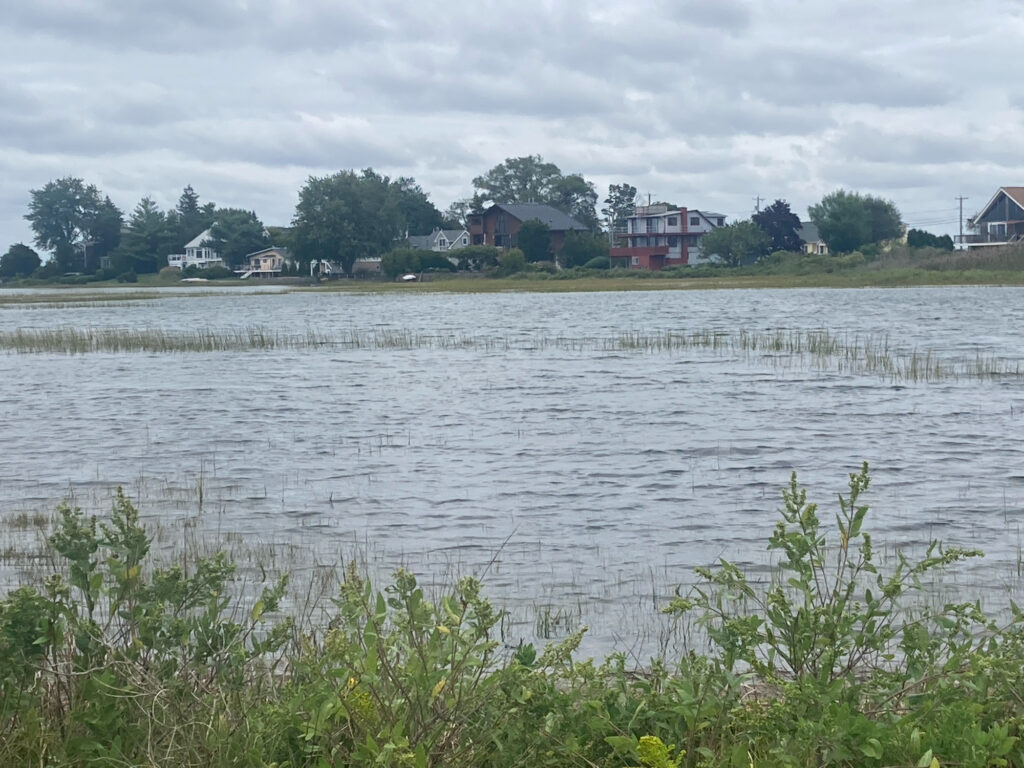 a body of water with houses in the background (MyCoast AI)