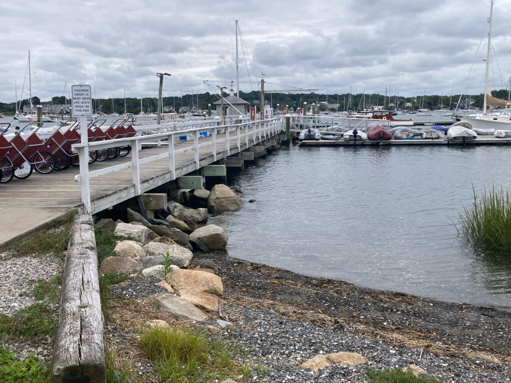 a dock with boats in a harbor (MyCoast AI)