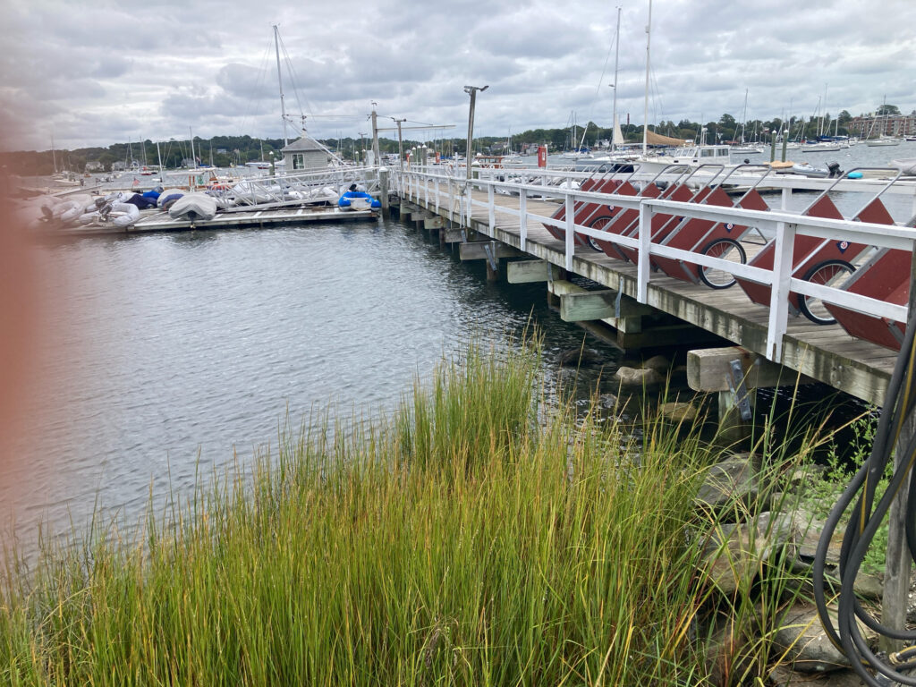 a bridge over a body of water (MyCoast AI)