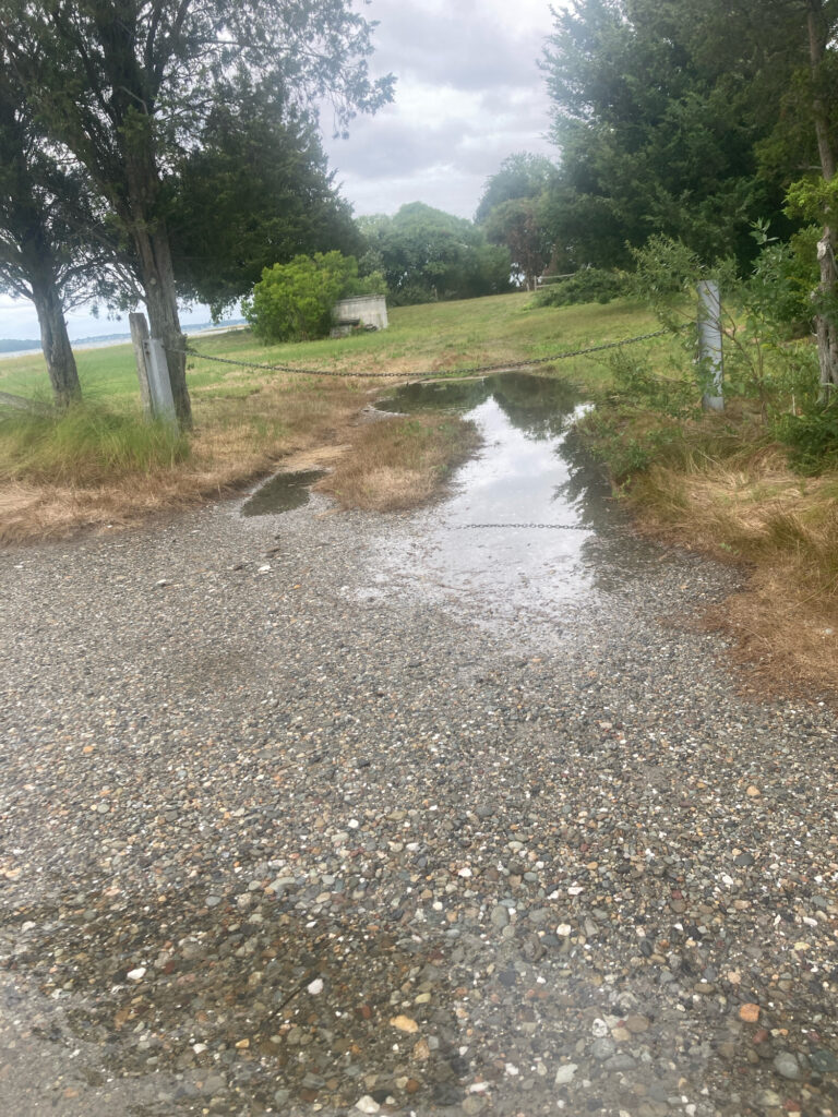 a wet road with trees on either side of it (MyCoast AI)